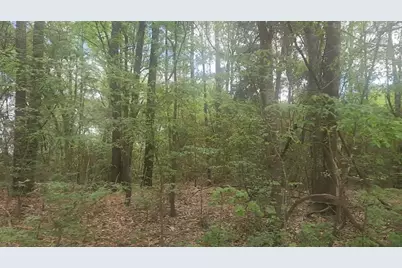 Lot 1 Thornwood Drive, Plantersville, TX 77363 - Photo 20