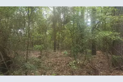 Lot 1 Thornwood Drive, Plantersville, TX 77363 - Photo 14