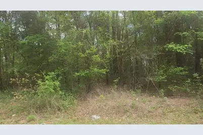 Lot 1 Thornwood Drive, Plantersville, TX 77363 - Photo 30