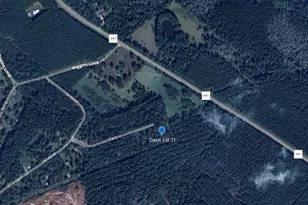 Tbd Davis Lot 31, Livingston, TX 77351 - Photo 1
