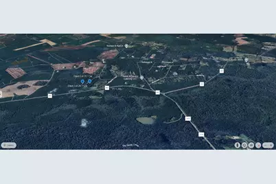 Tbd Davis Lot 31, Livingston, TX 77351 - Photo 4