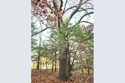 0 Mallard Way, LaRue, TX 75770 - Photo 18