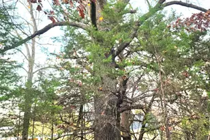 0 Mallard Way, LaRue, TX 75770 - Photo 18