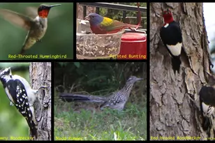 0 Mallard Way, LaRue, TX 75770 - Photo 42