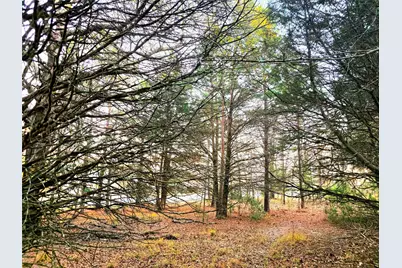 0 Mallard Way, LaRue, TX 75770 - Photo 8