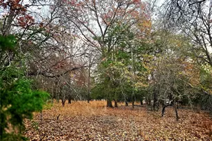 0 Mallard Way, LaRue, TX 75770 - Photo 10