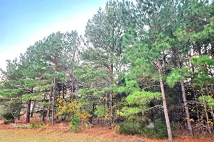 0 Mallard Way, LaRue, TX 75770 - Photo 18