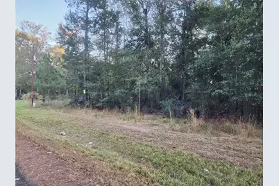 0 Dottie Ln Lane, Shepherd, TX 77371 - Photo 6