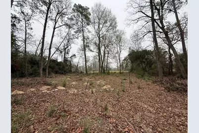 Tbd Skylane Dr, Montgomery, TX 77356 - Photo 2