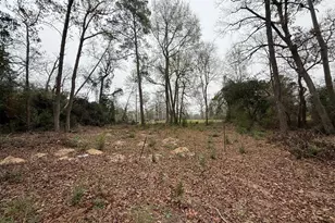 Tbd Skylane Dr, Montgomery, TX 77356 - Photo 2