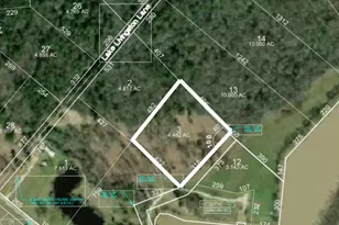 Lot 3 Lake Livingston Ln, Trinity, TX 75862 - Photo 1