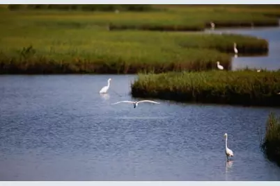 21 Hawkeye, Hitchcock, TX 77563 - Photo 26
