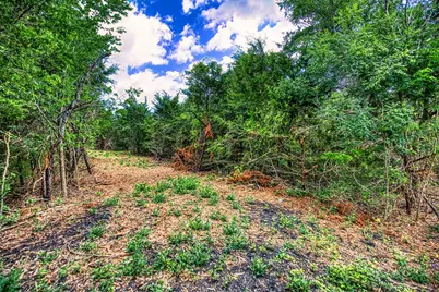 Lot 6 Wonder Hill Road, Chappell Hill, TX 77426 - Photo 8