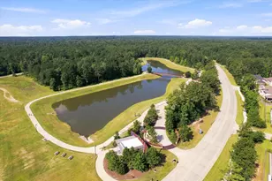 146 Diamond Back Ln, Montgomery, TX 77316 - Photo 36