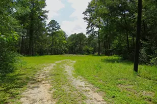 4542 Evergreen Forest Ln, Navasota, TX 77868 - Photo 1