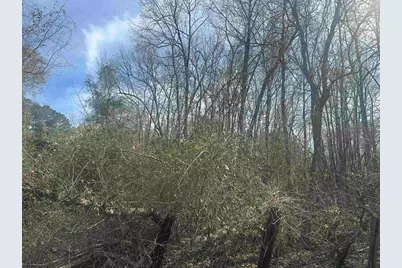 1270 Operators Lane, Vidor, TX 77662 - Photo 4