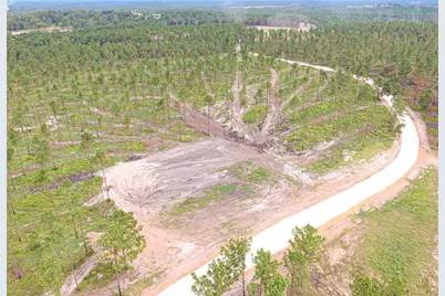 0011 Nelson Dr, Livingston, TX 77351 - Photo 2