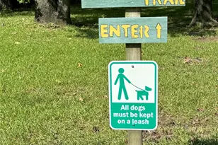 40 Dartmoor Ct, Coldspring, TX 77331 - Photo 30