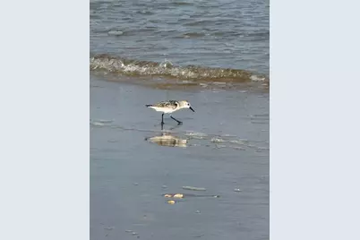 2252 County Road 201, Sargent, TX 77414 - Photo 16