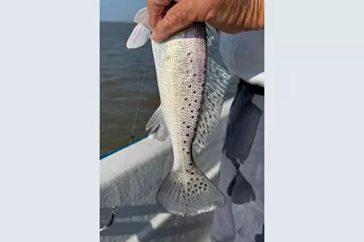 2252 County Road 201, Sargent, TX 77414 - Photo 14