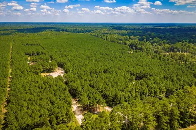 5633 Duff Road, Livingston, TX 77351 - Photo 22