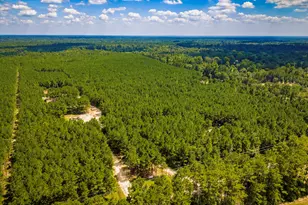 5633 Duff Rd, Livingston, TX 77351 - Photo 22