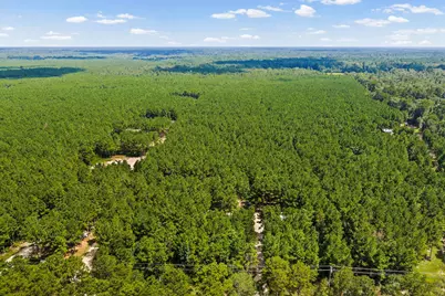 5633 Duff Road, Livingston, TX 77351 - Photo 20