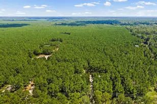 5633 Duff Rd, Livingston, TX 77351 - Photo 20