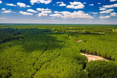 5633 Duff Road, Livingston, TX 77351 - Photo 24