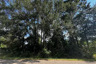 17625 Spanish Oak, Conroe, TX 77306 - Photo 4