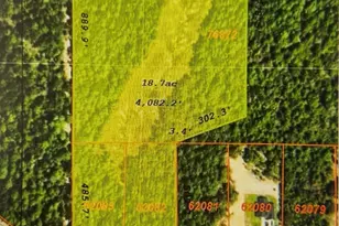 000 County Road 302, Plantersville, TX 77363 - Photo 1