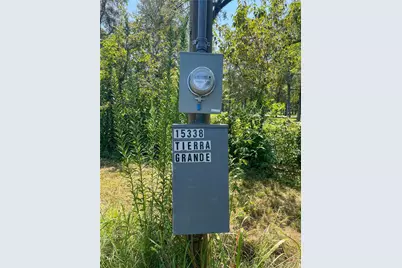 15338 Tierra Grande Drive, Needville, TX 77461 - Photo 6