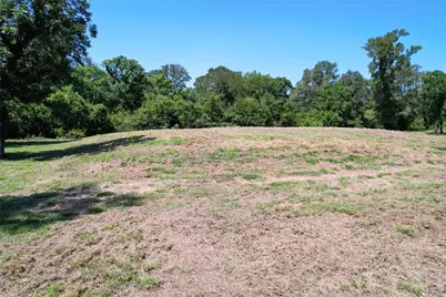 15338 Tierra Grande Drive, Needville, TX 77461 - Photo 20