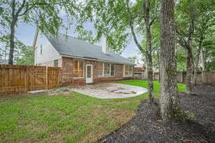 23 Red Adler Pl, The Woodlands, TX 77382 - Photo 48