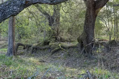 1746 County Road 103, Columbus, TX 78934 - Photo 20