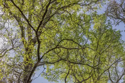 1746 County Road 103, Columbus, TX 78934 - Photo 22