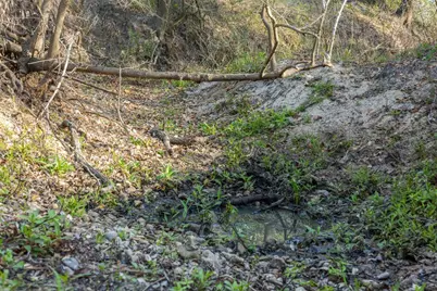 1746 County Road 103, Columbus, TX 78934 - Photo 14