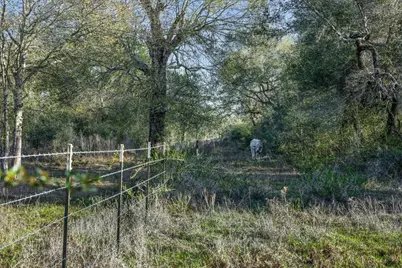 1746 County Road 103, Columbus, TX 78934 - Photo 8
