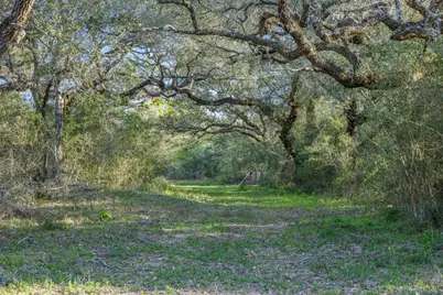 1746 County Road 103, Columbus, TX 78934 - Photo 4