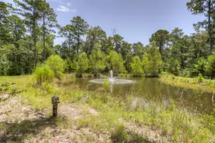250 Red Bird Ln, Trinity, TX 75862 - Photo 38