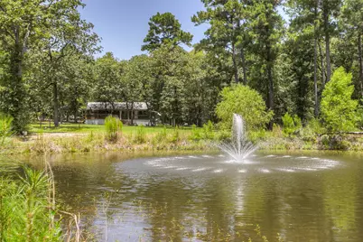 250 Red Bird Lane, Trinity, TX 75862 - Photo 38