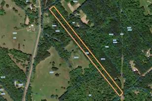 Tbd Cr 1655, Grapeland, TX 75844 - Photo 1