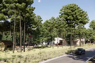 11350 Bellville Dr, Montgomery, TX 77316 - Photo 22