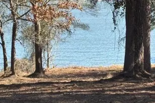 1867 FM3186, Onalaska, TX 77360 - Photo 1