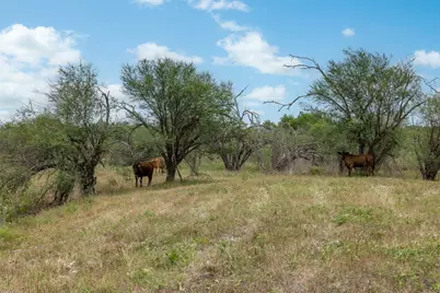 00 Ives Creek Road, Bellville, TX 77418 - Photo 14