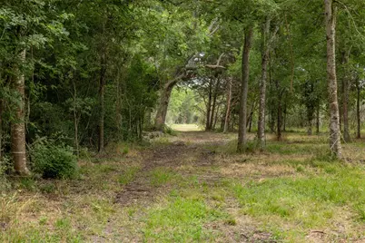 00 Ives Creek Road, Bellville, TX 77418 - Photo 10