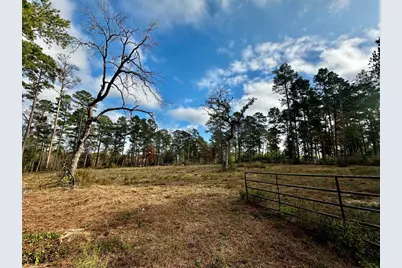 15238 Crape Myrtle Lane, Navasota, TX 77868 - Photo 4