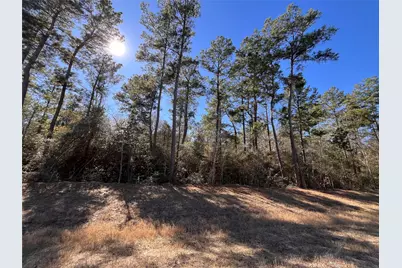 86 Coyote Run, Willis, TX 77378 - Photo 18