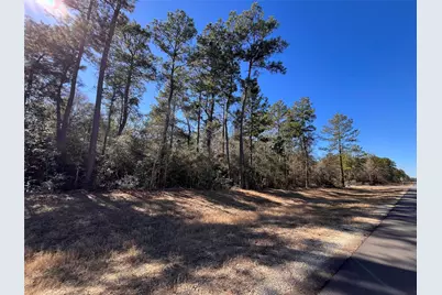 86 Coyote Run, Willis, TX 77378 - Photo 10
