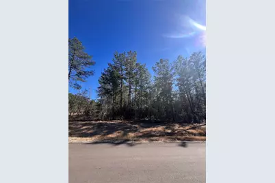 86 Coyote Run, Willis, TX 77378 - Photo 6